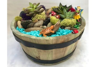 Plant Nite: Fairy in Wooden Barrel Planter with turtle